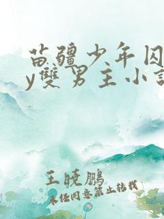 苗疆少年囚禁by双男主小说全篇