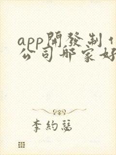 app开发制作公司哪家好