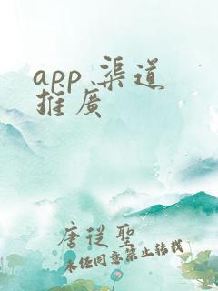 app 渠道 推广
