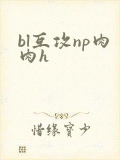 bl互攻np肉肉h