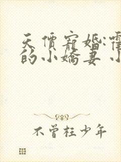 天价宠婚:霍总的小娇妻 小说