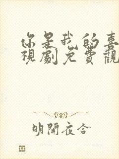 你是我的喜欢电视剧免费观看全集高清