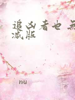 追凶者也 无删减版
