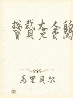 总裁大人的私有宝贝免费阅读
