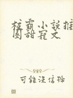 校霸小说推荐校园甜宠文