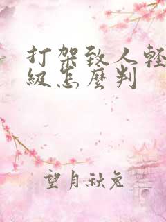 打架致人轻伤二级怎么判