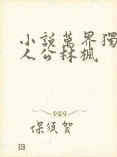 小说万界独尊主人公林枫