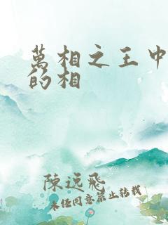万相之王中李洛的相