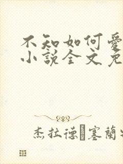 不知如何爱你时小说全文免费阅读