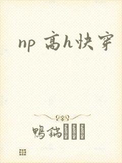 np 高h快穿