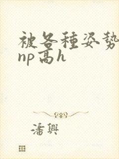 被各种姿势玩弄np高h