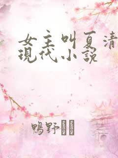 女主叫夏清浅的现代小说