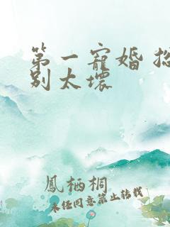 第一宠婚 总裁别太坏