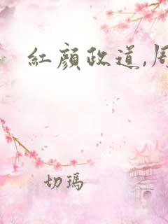 红颜政道,周平