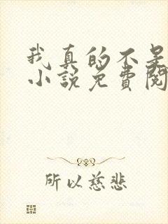 我真的不是反派小说免费阅读