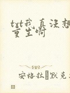 txt我真没想重生啊