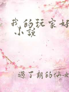 我的玩家好凶猛 小说