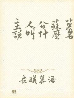 主人公苏莫的小说叫什么名字 主人公苏莫的小说叫什么名字