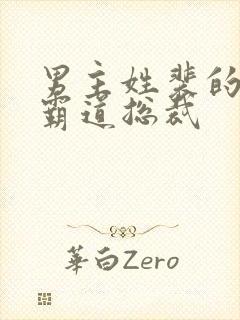 男主姓裴的小说霸道总裁