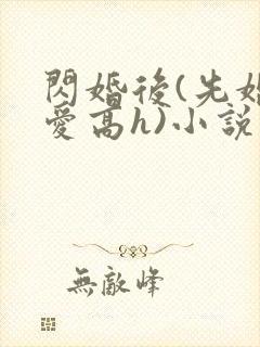 闪婚后(先婚后爱高h)小说