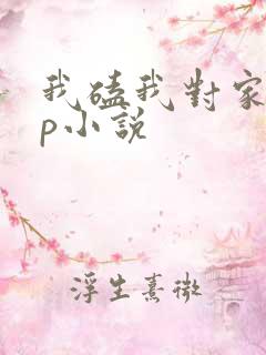我磕我对家的cp小说