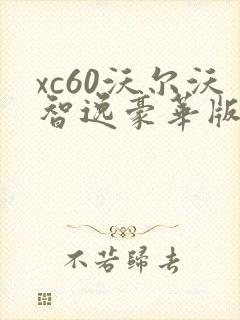 xc60沃尔沃智逸豪华版