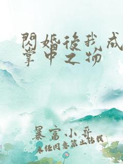 闪婚后我成大佬掌中之物