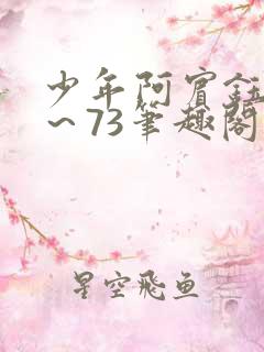 少年阿宾钰慧1～73笔趣阁下载