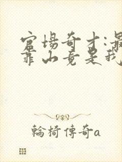 官场奇才:最强靠山竟是我自己李霖小说在