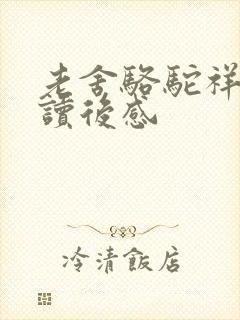 老舍骆驼祥子的读后感