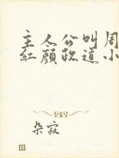主人公叫周平的红颜政道小说