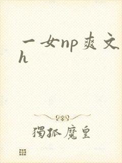 一女np爽文高h 一女np爽文高h