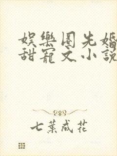 娱乐圈先婚后爱甜宠文小说