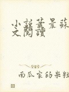 小说萧晨苏晴全文阅读 小说萧晨苏晴全文阅读