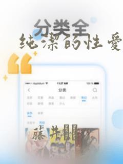 纯洁的性爱：结局+番外