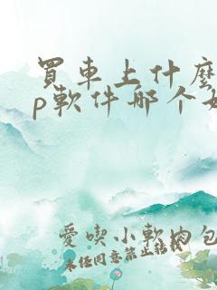 买车上什么app软件哪个好