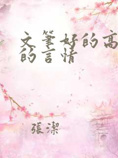 文笔好的高质量的言情