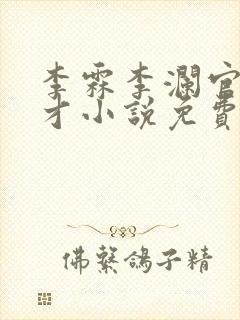 李霖李澜官场奇才小说免费阅读