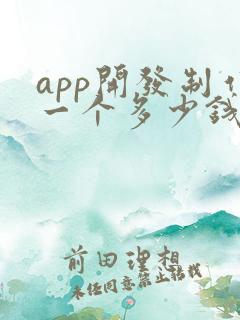 app开发制作一个多少钱