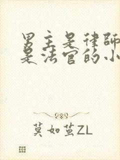 男主是律师女主是法官的小说