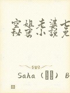 空姐老婆七七的秘密小说免费阅读