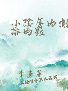 小阴唇内侧有一排肉粒 小阴唇内侧有一排肉粒
