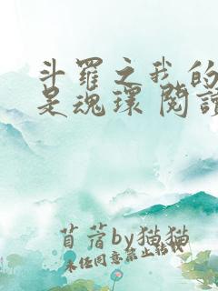 斗罗之我的武魂是魂环 阅读