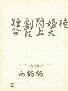 短剧闪婚后被老公宠上天