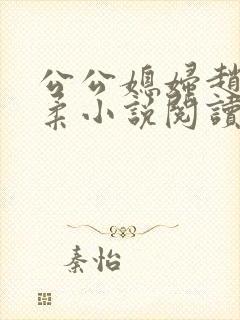 公公媳妇赵刚苏柔小说阅读