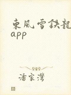 东风雪铁龙智行app