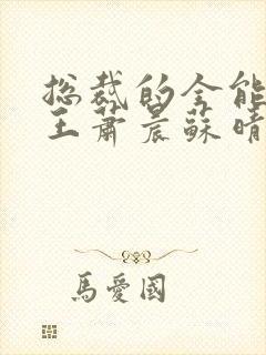 总裁的全能型兵王萧晨苏晴 总裁的全能型兵王萧晨苏晴