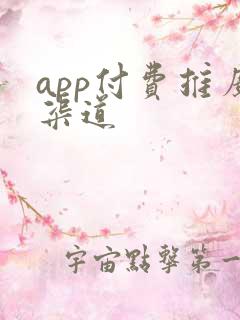 app付费推广渠道