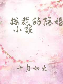 总裁的隐婚罪妻 小说