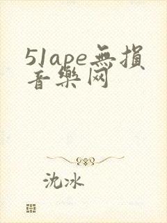 51ape无损音乐网